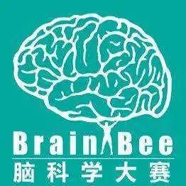 深国交，碧桂园，广外都在参加的赛事 -- Brain Bee脑科学大赛  竞赛 第1张