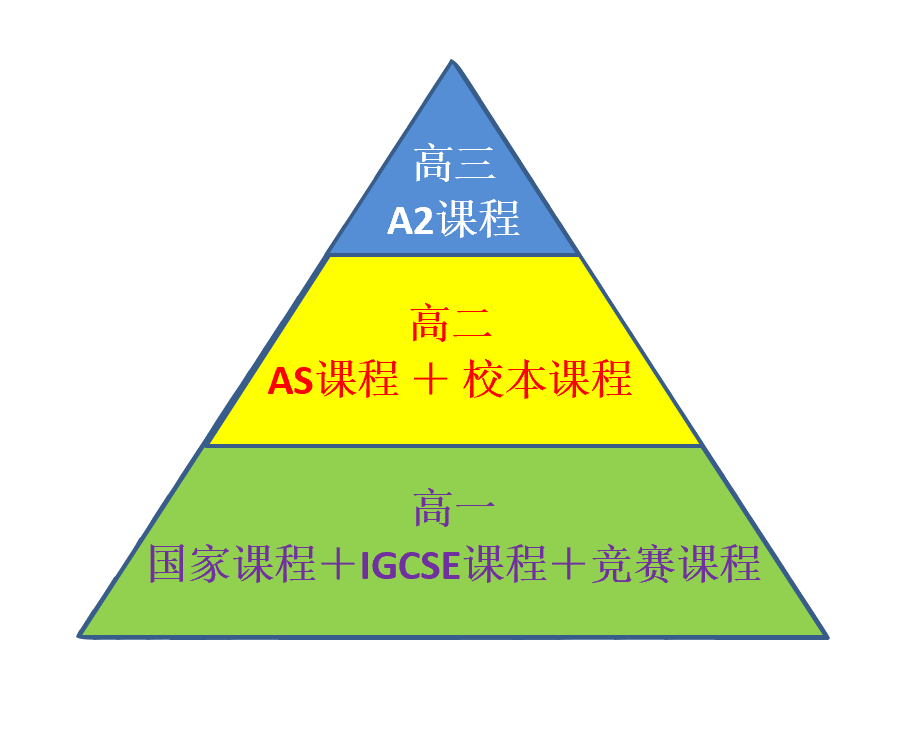 盘点丨深国交VS四大国际体系，家长们会选择哪所学校？  深圳国际交流学院 备考国交 第7张