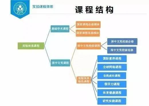 盘点丨深国交VS四大国际体系，家长们会选择哪所学校？  深圳国际交流学院 备考国交 第6张