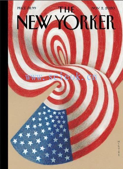 《纽约客》杂志｜The New Yorker 电子杂志英文版（2020.11.02）  The Yorker（纽约客） 英文原版杂志 第1张