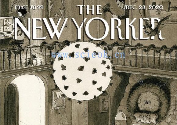 《纽约客》杂志｜The New Yorker 电子杂志英文版（2020.12.28）