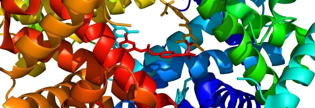 最低录取率仅6%！不要申请牛津录取率最低的12大专业  牛津大学 留学 第17张