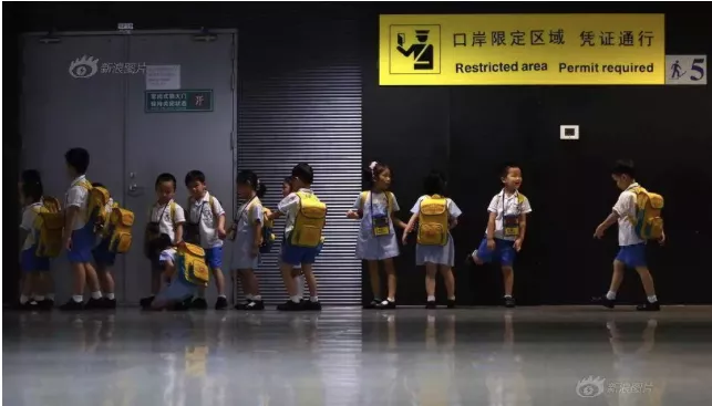 “鸡娃”背后离不开家庭经济资本的支持 但他们正在“逃离”深圳  国际化教育理念 第4张
