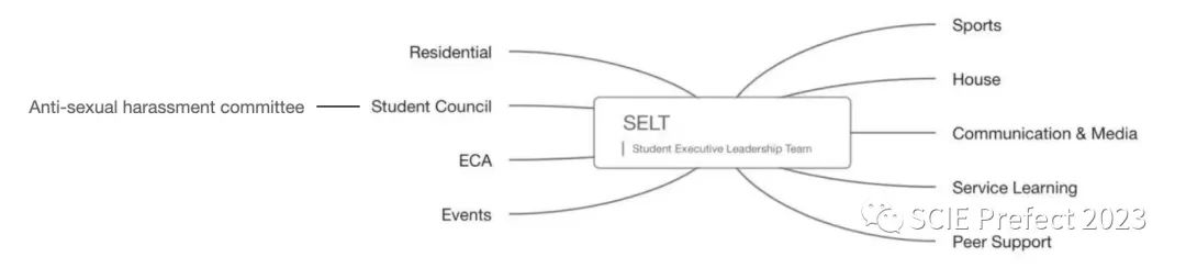 深国交SLB简介 Introduction to the Student Leadership Body 来竞选吧