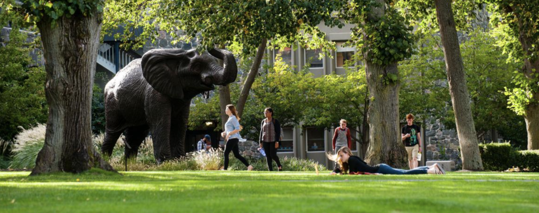 25所最贵的美国大学  留学 费用 第5张